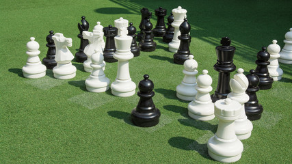 chess model on grass
