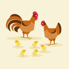 Chicken family bird. Vector illustration