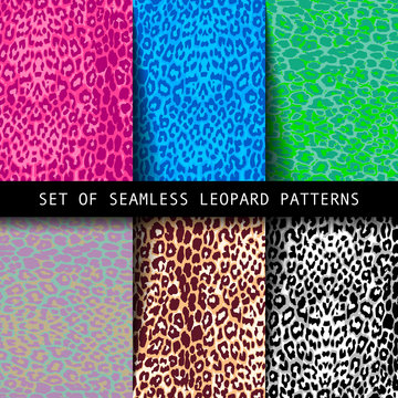 Set of leopard seamless patterns.