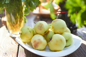picnic summer vegetables