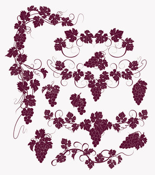 Vector design elements in vintage style with vines.