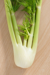 Fennel.