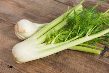 Fresh organic fennel.