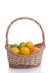 basket of citrus fruit: lemons, grapefruits, oranges isolated