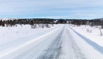 Obraz premium Winter Road