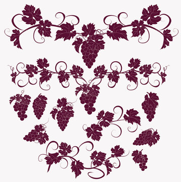 Vector design elements in vintage style with vines.