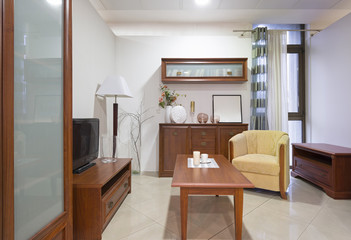Wooden furniture in living room