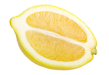 Lemon citrus closeup