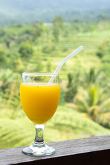 Glass of orange juice with rice field background.