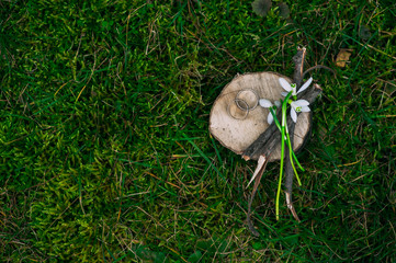 composition, wedding ring and a bouquet of snowdrops
