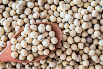 Soy beans in a wooden spoon