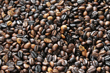 roasted civet coffee beans(Kopi luwak), can be used as a background