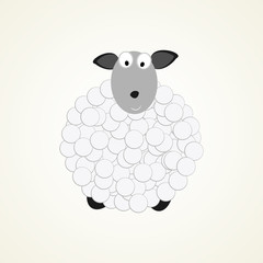 sheep white