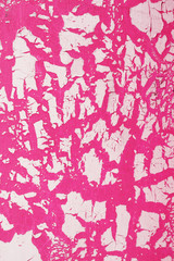 Pink-White painted wall, grunge background.