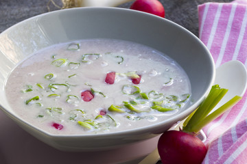 Radieschensuppe mit Frühlingszwiebeln in einer Suppenschale angerichtet mit Radieschen und Serviette im Vordergrund