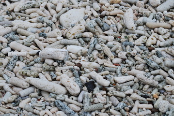 Coral beach, background. 