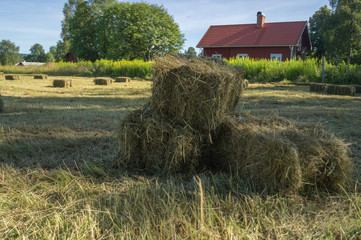 hay bales © darksideofpink