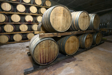 oak barrels in a cellar during wine aging process