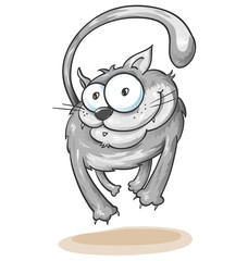 fun cat isolated on white background