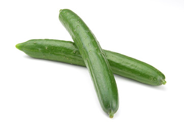 胡瓜(きゅうり)_cucumber_whiteback