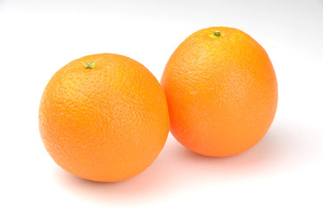 オレンジ_orange_whiteback