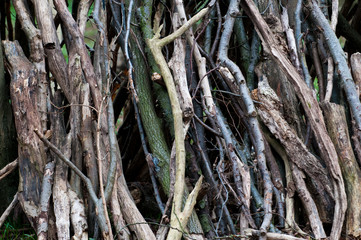 arrangement of logs