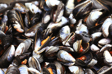 collect and prepare mussels