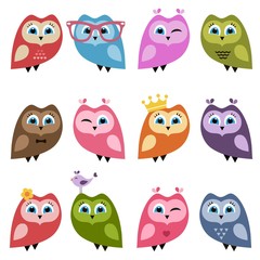Cute owls and owlets set