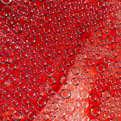 Plurality of air bubbles on a red background