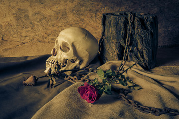 Still life with a human skull with a red rose in a vase.