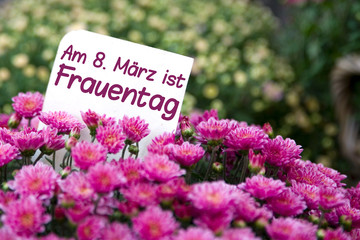 Am 8. März ist internationaler Frauentag 