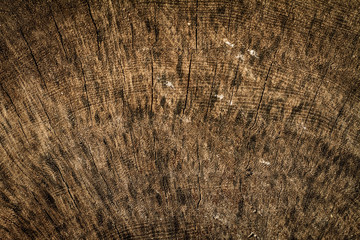Brown wood texture. Abstract background