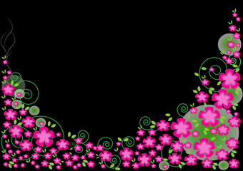 Pink flowers on a black background.