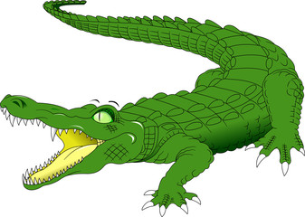 Crocodile
