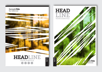 Business brochure design template. Vector flyer layout, blur background with elements for magazine, cover, poster design. A4 size.