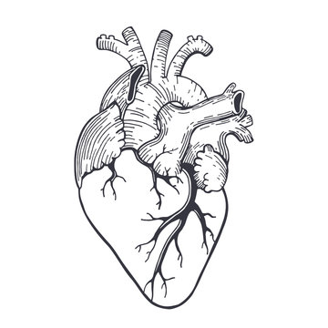 Realistic Heart Drawing Images – Browse 84,673 Stock Photos, Vectors ...