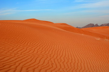 Fototapeta na wymiar Arabian desert. United Arab Emirates.