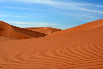 Fototapeta na wymiar Arabian desert. United Arab Emirates.
