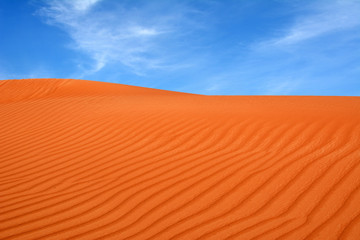 Arabian desert. United Arab Emirates.