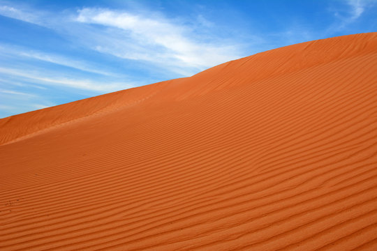 Arabian desert. United Arab Emirates.