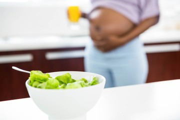 Fototapeta na wymiar Pregnant woman in kitchen with salad on table 