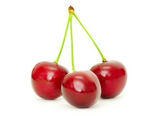sweet cherry
