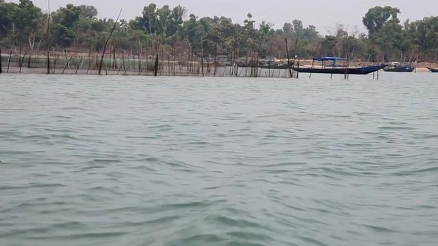 Tracking shot of the Chilika Lake, Orissa, India