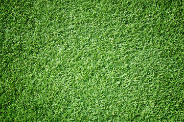 Fototapeta premium Golf Courses green lawn