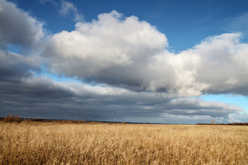 Field and clouds