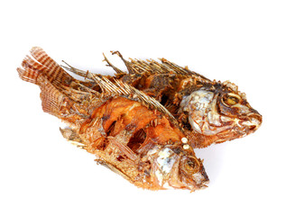 Two fish fry on white background.