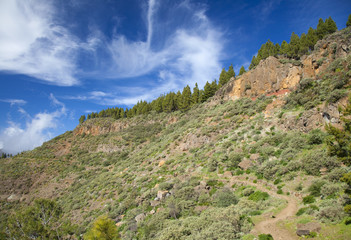 Gran Canaria, Caldera de Tejeda in February