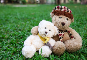 Two bears are sit on the green lawn.