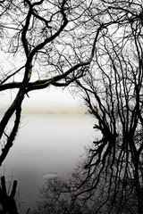 Loch & Mist - Scotland