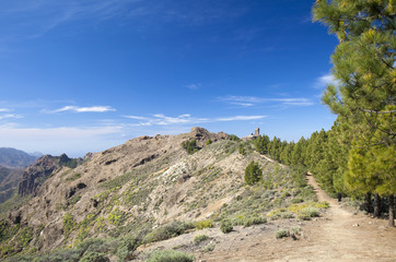 Fototapeta na wymiar Gran Canaria, Las Cumbres - the highest areas of the island